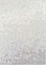 IJlst Modern Light Gray Area Rug
