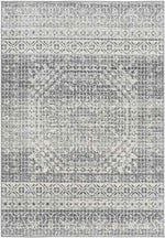 Langweer Traditional Light Gray Area Rug