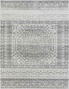 Langweer Traditional Light Gray Area Rug