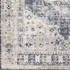 Paesens Traditional Taupe Area Rug