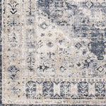 Paesens Traditional Taupe Area Rug