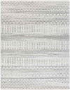 Schrins Global Light Gray Area Rug