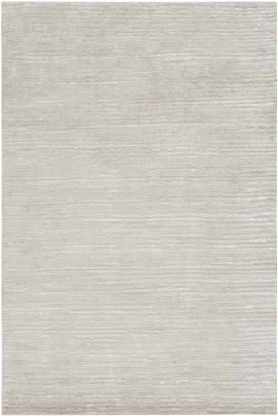 Midhurst Modern Light Gray Area Rug