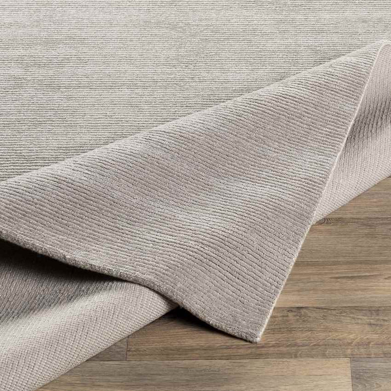 Midhurst Modern Light Gray Area Rug