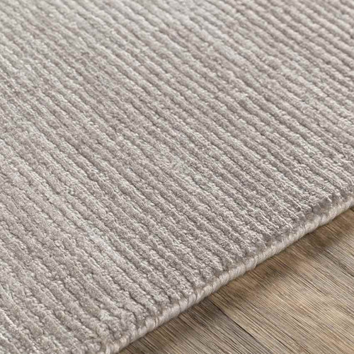 Midhurst Modern Light Gray Area Rug