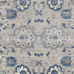 Steenvak Traditional Medium Gray Area Rug