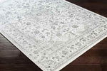 Terband Traditional Light Gray Area Rug