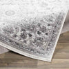 Terband Traditional Light Gray Area Rug