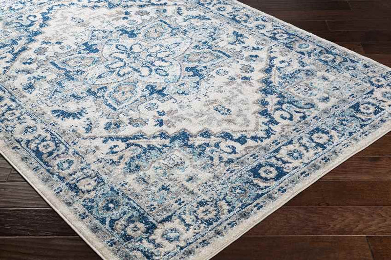 Cannock Traditional Aqua Area Rug