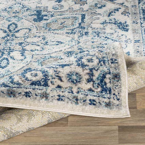 Cannock Traditional Aqua Area Rug