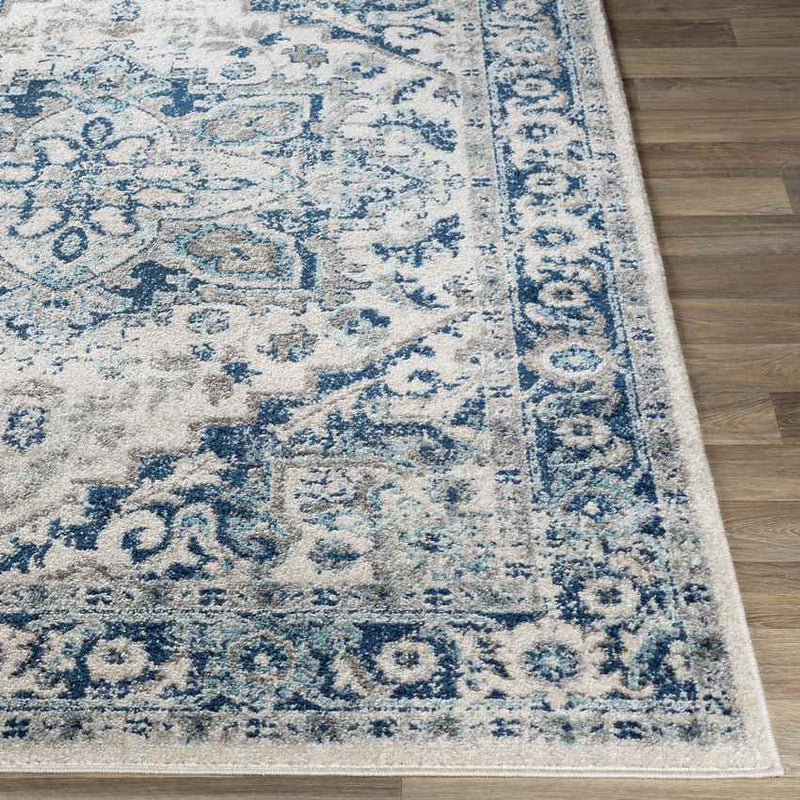 Cannock Traditional Aqua Area Rug