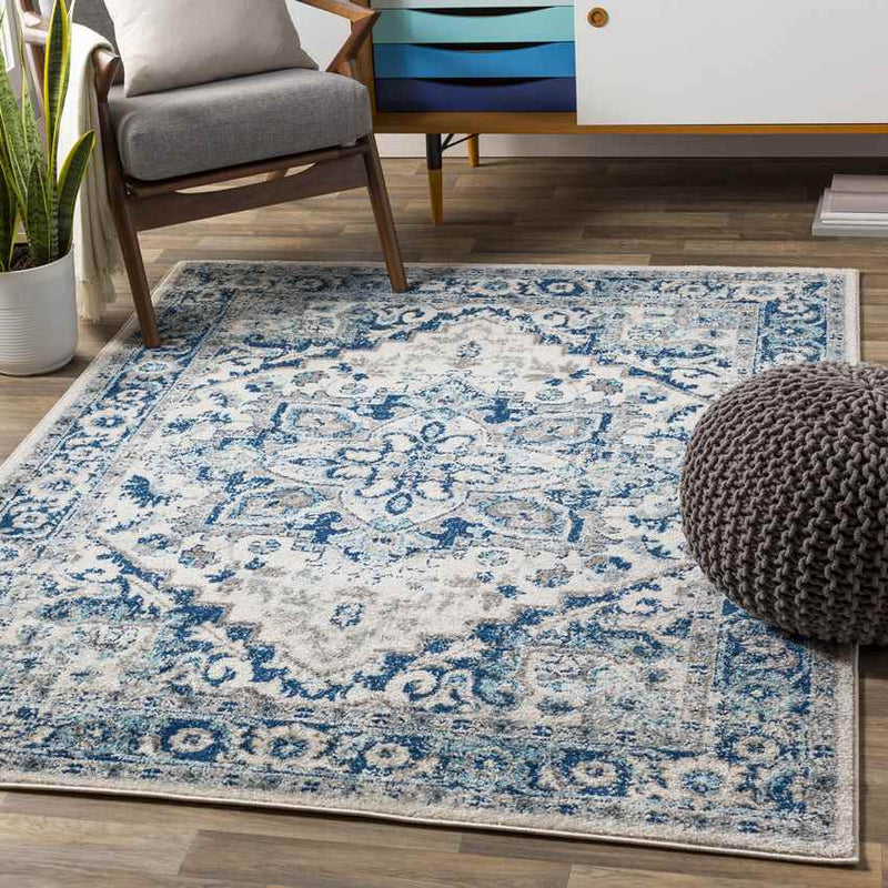 Cannock Traditional Aqua Area Rug
