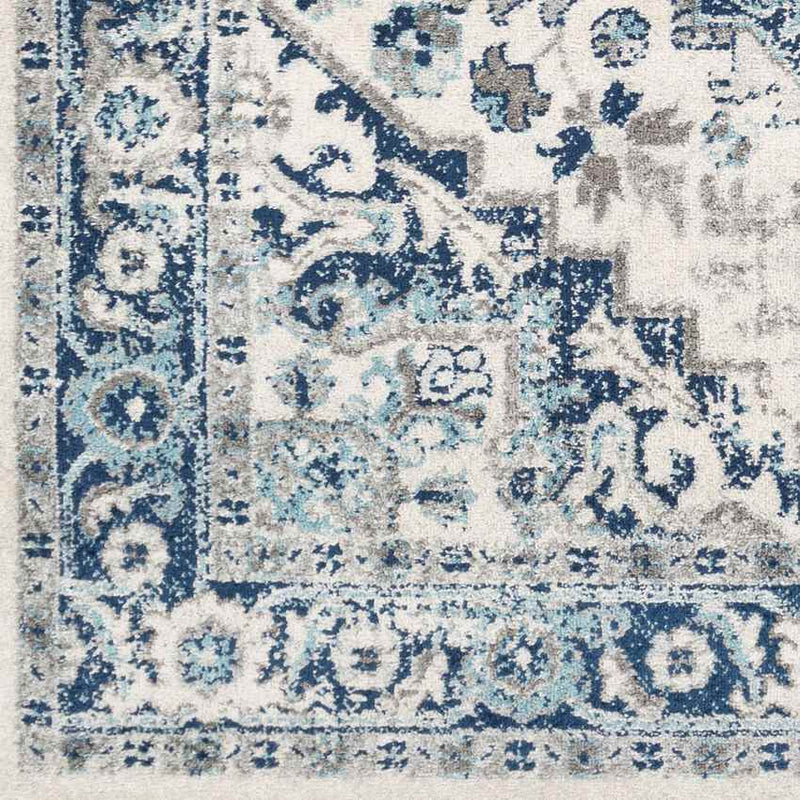 Cannock Traditional Aqua Area Rug
