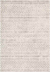 Trophorne Global Medium Gray Area Rug