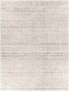 Trophorne Global Medium Gray Area Rug
