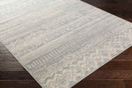 Vijfhuis Global Light Gray Area Rug
