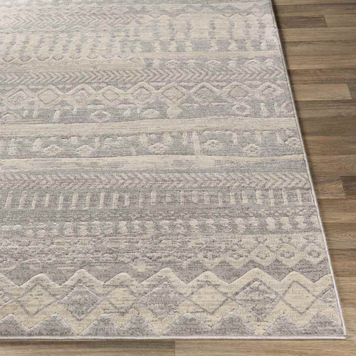 Vijfhuis Global Light Gray Area Rug