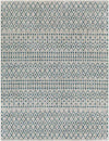 Wijns Global Aqua Area Rug