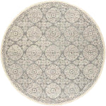 Wilaard Traditional Medium Gray Area Rug