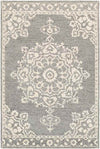 Witveen Traditional Medium Gray Area Rug