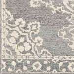 Witveen Traditional Medium Gray Area Rug