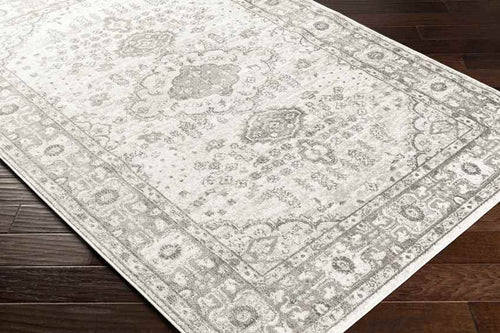 Workum Traditional Light Gray Area Rug