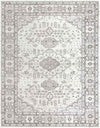 Workum Traditional Light Gray Area Rug