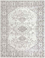 Workum Traditional Light Gray Area Rug