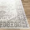 Workum Traditional Light Gray Area Rug