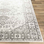 Workum Traditional Light Gray Area Rug