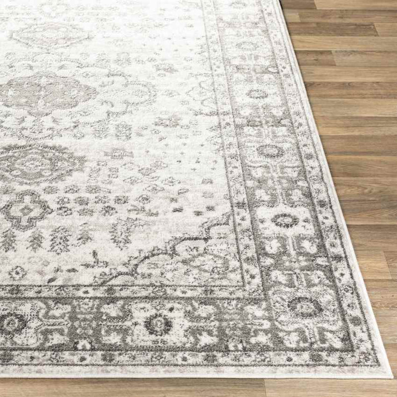 Workum Traditional Light Gray Area Rug