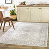 Workum Traditional Light Gray Area Rug