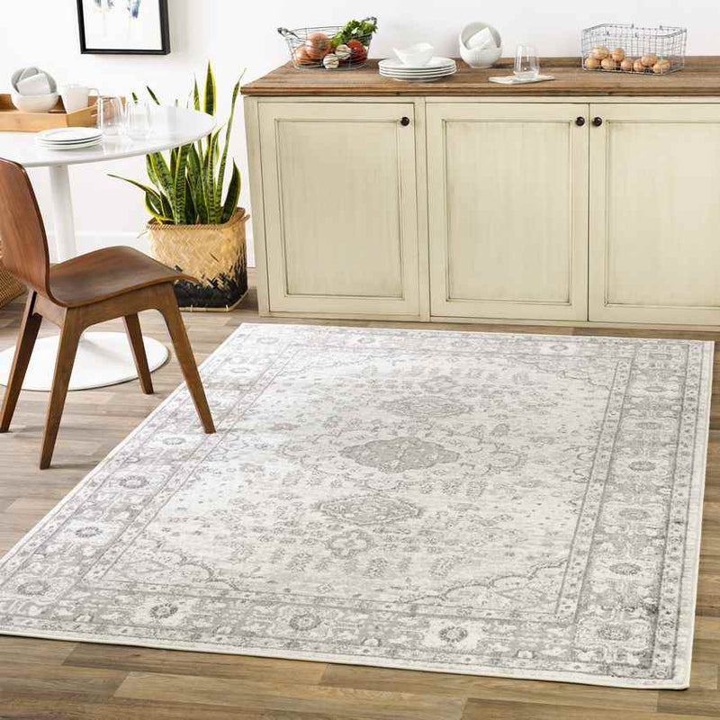 Workum Traditional Light Gray Area Rug
