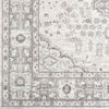 Workum Traditional Light Gray Area Rug