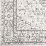 Workum Traditional Light Gray Area Rug