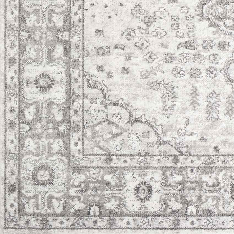 Workum Traditional Light Gray Area Rug