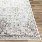 Woudsend Traditional Light Gray Area Rug