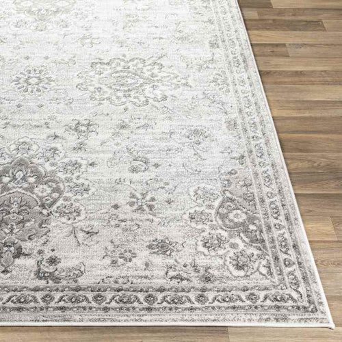 Woudsend Traditional Light Gray Area Rug