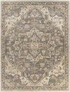 Anreep Traditional Dark Brown Area Rug