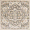 Anreep Traditional Dark Brown Area Rug