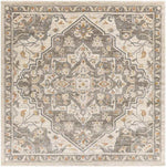 Anreep Traditional Dark Brown Area Rug