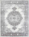 Ansen Traditional Charcoal Area Rug