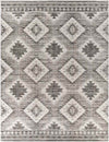 Dalerpeel Traditional Charcoal Area Rug