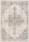 Dalerveen Traditional Light Gray Area Rug