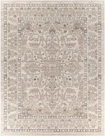 Darp Traditional Charcoal Area Rug