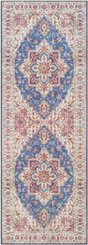 Landes Traditional Garnet Area Rug