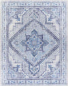 Eemten Traditional Ice Blue Area Rug