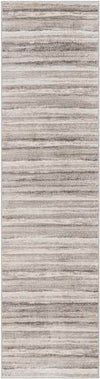 Ermerveen Modern Medium Gray Area Rug