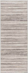 Ermerveen Modern Medium Gray Area Rug