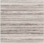 Ermerveen Modern Medium Gray Area Rug